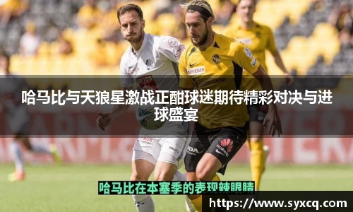 永利3044官网唯一